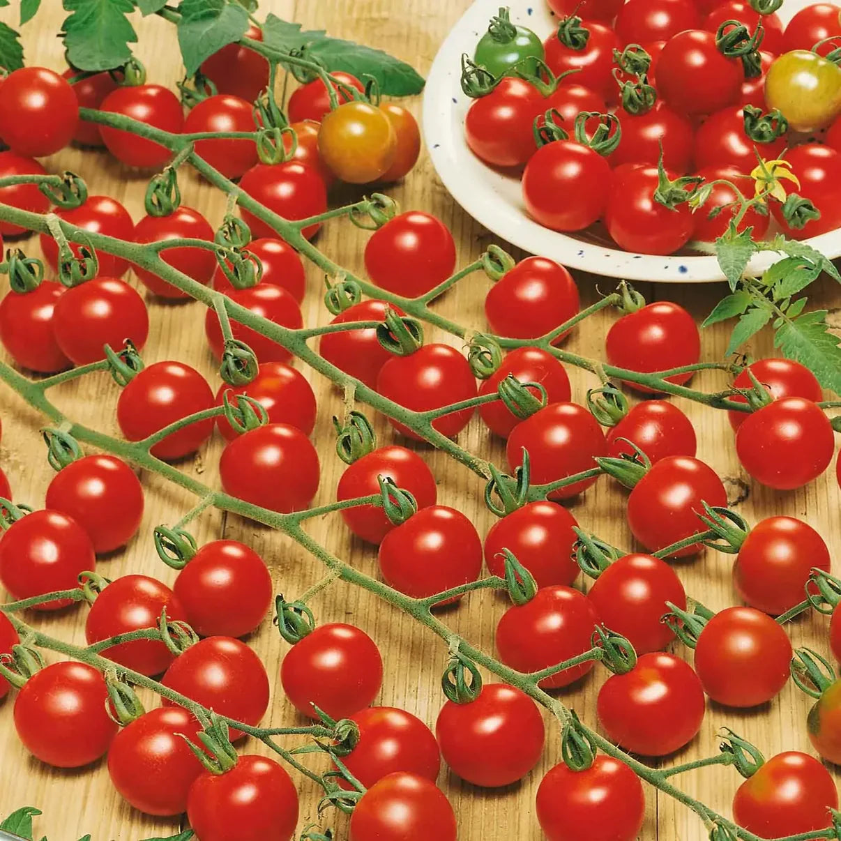 🎉Limited Time Offer 🍅Waterfall Tomato Seeds 🔥free plant growth supplement🔥