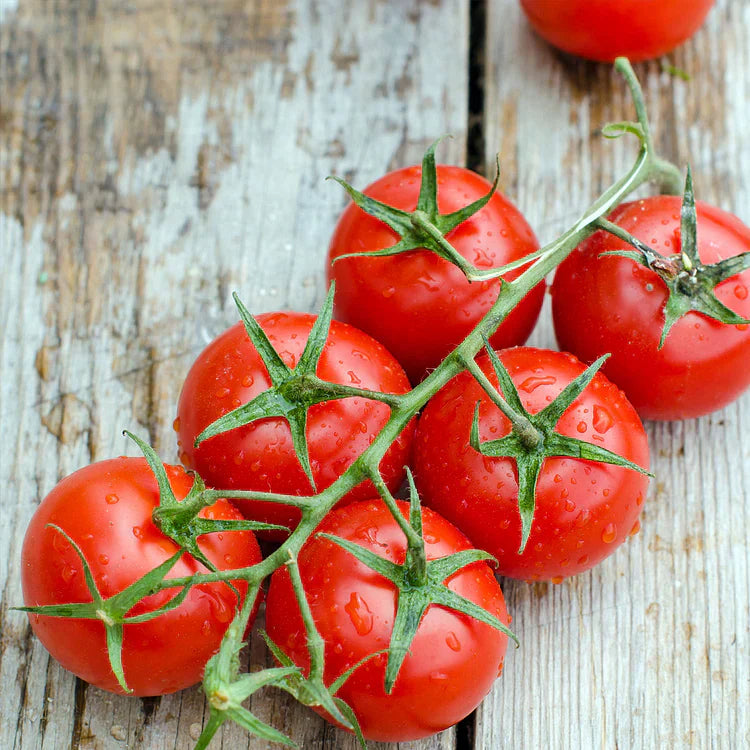 🎉Limited Time Offer 🍅Waterfall Tomato Seeds 🔥free plant growth supplement🔥